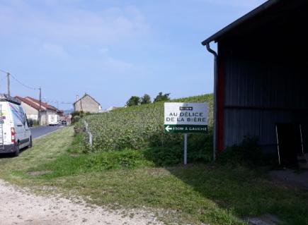 Délice de la bière